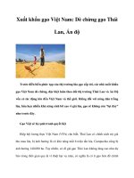 Xuất khẩu gạo Việt Nam: Dè chừng gạo Thái Lan, Ấn độ pptx