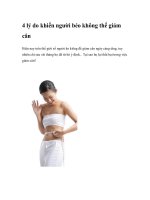 4 lý do khiến người béo không thể giảm cân pptx