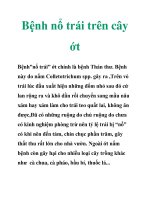 Bệnh nổ trái trên cây ớt docx