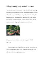 Kiểng Nam bộ - một bản sắc văn hoá docx