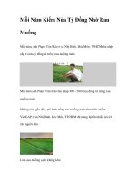 Mỗi Năm Kiếm Nửa Tỷ Đồng Nhờ Rau Muống ppt