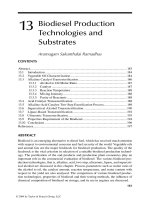 Handbook of plant based biofuels - Chapter 13 pot