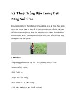 Kỹ Thuật Trồng Đậu Tương Đạt Năng Suất Cao pdf