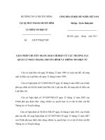 MẪU GIẤY PHÉP CHUYÊN TRANG BÁO CHÍ ĐIỆN TỬ CỤC TRƯỞNG CỤC QUẢN LÝ PHÁT THANH, TRUYỀN HÌNH VÀ THÔNG TIN ĐIỆN TỬ doc