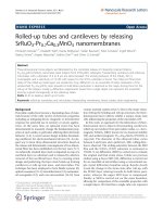 Báo cáo hóa học: 