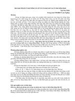 Nghiên cứu khoa học 