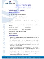 báo cáo thường niên ngân hàng tmcp đại dương năm 2010 oceanbank