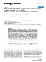 Báo cáo hóa học: 