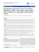 báo cáo hóa học: