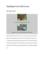 Thu Hoạch Và Sơ Chế Ca CaoTHU HOẠCH TRÁI docx