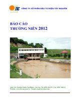 báo cáo thường niên 2012 công ty cổ phần đầu tư điện tây nguyên