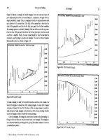 Conway Mark Behle Aaron Professional Stock Trading System Design And Automation_ docx