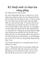 Kỹ thuật nuôi và chọn lợn rừng giống ppt