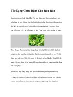 Tác Dụng Chữa Bệnh Của Rau Răm docx