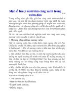 Một số lưu ý nuôi tôm càng xanh trong vườn dừa pptx