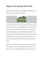 Phòng Và Trừ Sâu Đục Trái Cà Tím pot