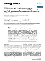 Báo cáo hóa học: 