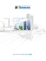 báo cáo thường niên năm 2009 ngân hàng phát triển nông thôn agribank