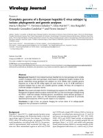 Báo cáo hóa học: 