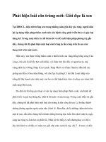 Phát hiện loài côn trùng mới: Giòi đục lá sen pptx