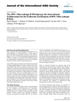 báo cáo hóa học: