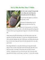 Xử Lý Dứa Ra Hoa Theo Ý Muốn docx