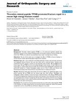 báo cáo hóa học: