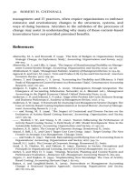 Controlling Strategy Management, Accounting, and Performance Measurement_3 doc