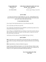 Quyết định số 838/QĐ-UBND docx