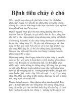 Bệnh tiêu chảy ở chó potx