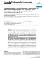 báo cáo hóa học: