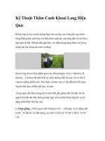 Kỹ Thuật Thâm Canh Khoai Lang Hiệu Quả pptx