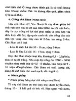 Thực hành trồng cây ở vùng trung du part 7 pdf