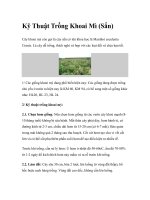 Kỹ Thuật Trồng Khoai Mì (Sắn) ppt