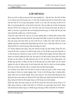 Phân Tích Tình Hình Tài Chính Công Ty Cổ Phần Ngoại Thương và Phát Triển Đầu Tư thành phố Hồ Chí Minh (Công Ty Cổ Phần FIDECO)