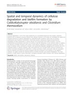 Báo cáo hóa học: 