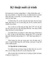 Kỹ thuật nuôi cá trình pdf