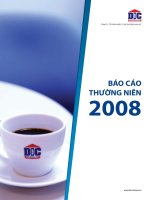 báo cáo thường niên 2008 công ty cổ phần đầu tư và thương mại dic