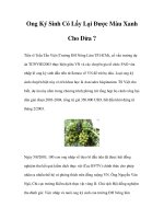 Ong Ký Sinh Có Lấy Lại Được Màu Xanh Cho Dừa ? pdf