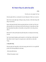 Nghiên cứu khoa học 