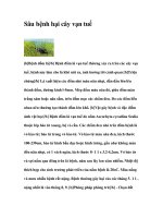 Sâu bệnh hại cây vạn tuế ppt