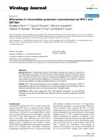 Báo cáo hóa học: 