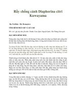 Rầy chổng cánh Diaphorina citri Kuwayama pdf