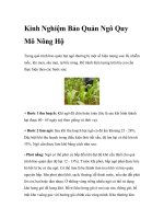 Kinh Nghiệm Bảo Quản Ngô Quy Mô Nông Hộ pot