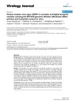 Báo cáo hóa học: 