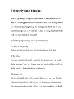 Trồng cây sanh bằng hạt pdf