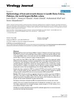 Báo cáo hóa học: 