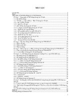 Luận văn viễn thông Nghiên cứu hệ thống thông tin InmarsatFleet