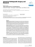 báo cáo hóa học: