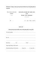 Mẫu Đăng ký tham gia thực hiện thí điểm thủ tục biên phòng điện tử cảng biển ppt